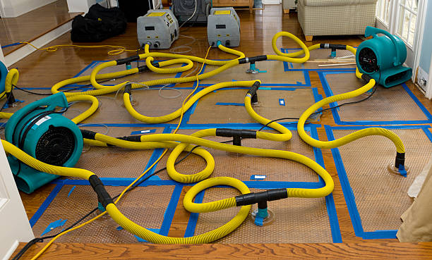 Professional Crawl Space Water Removal technician working in Paris, MS